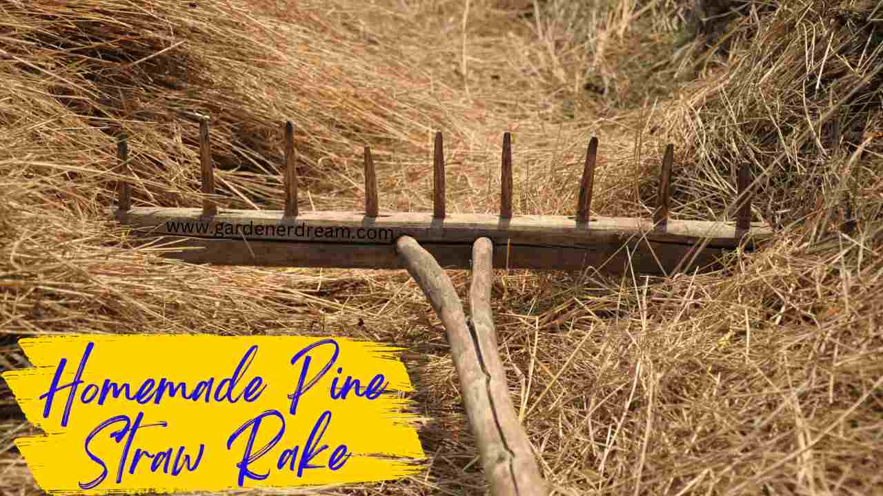 Homemade Pine Straw Rake: DIY Guide for Effective Garden Cleanup ...